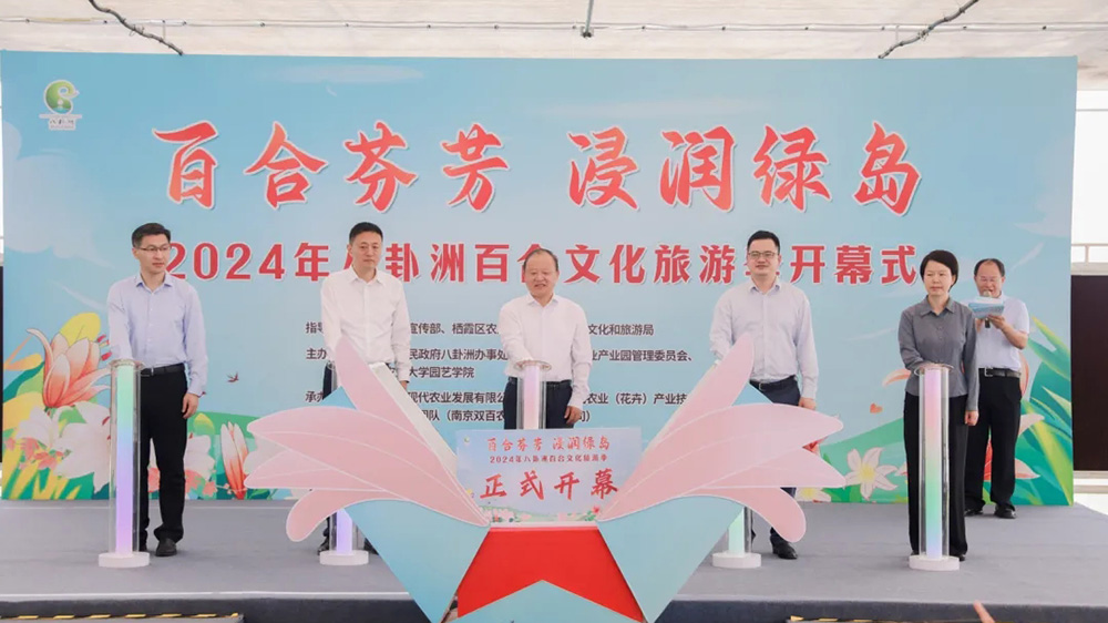 江蘇：2024年八卦洲百合文化旅游季正式啟動(dòng)，進(jìn)一步助推八卦洲現(xiàn)代農(nóng)業(yè)產(chǎn)業(yè)振興！